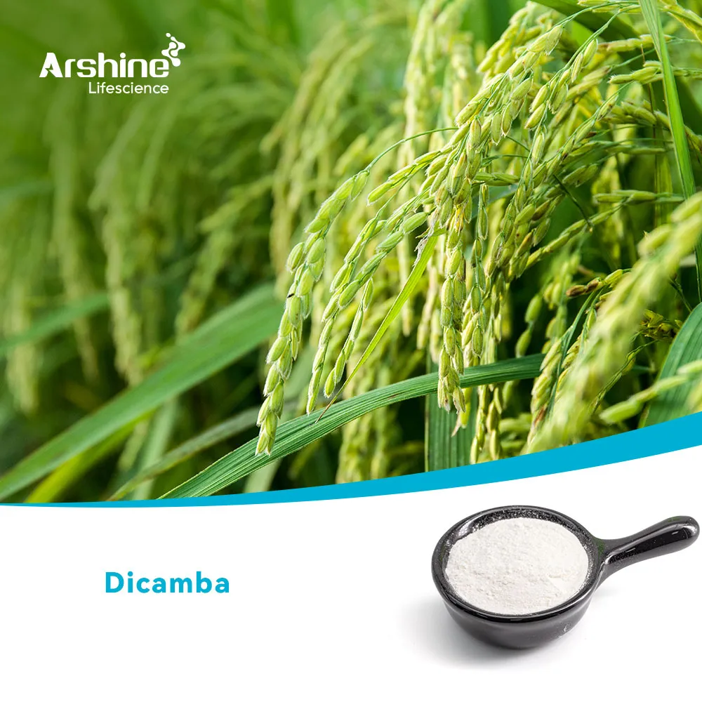 Dicamba