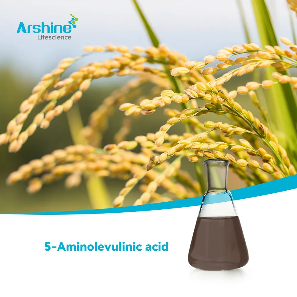 5-Aminolevulinic acid