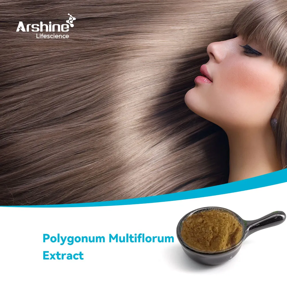 Polygonum Multiflorum Extract